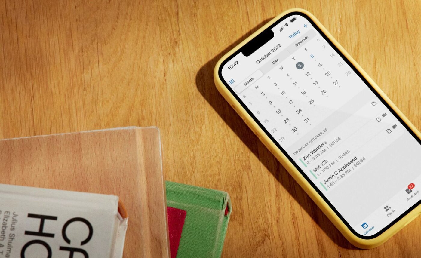 SimplePractice mobile app showing the daily appointment list