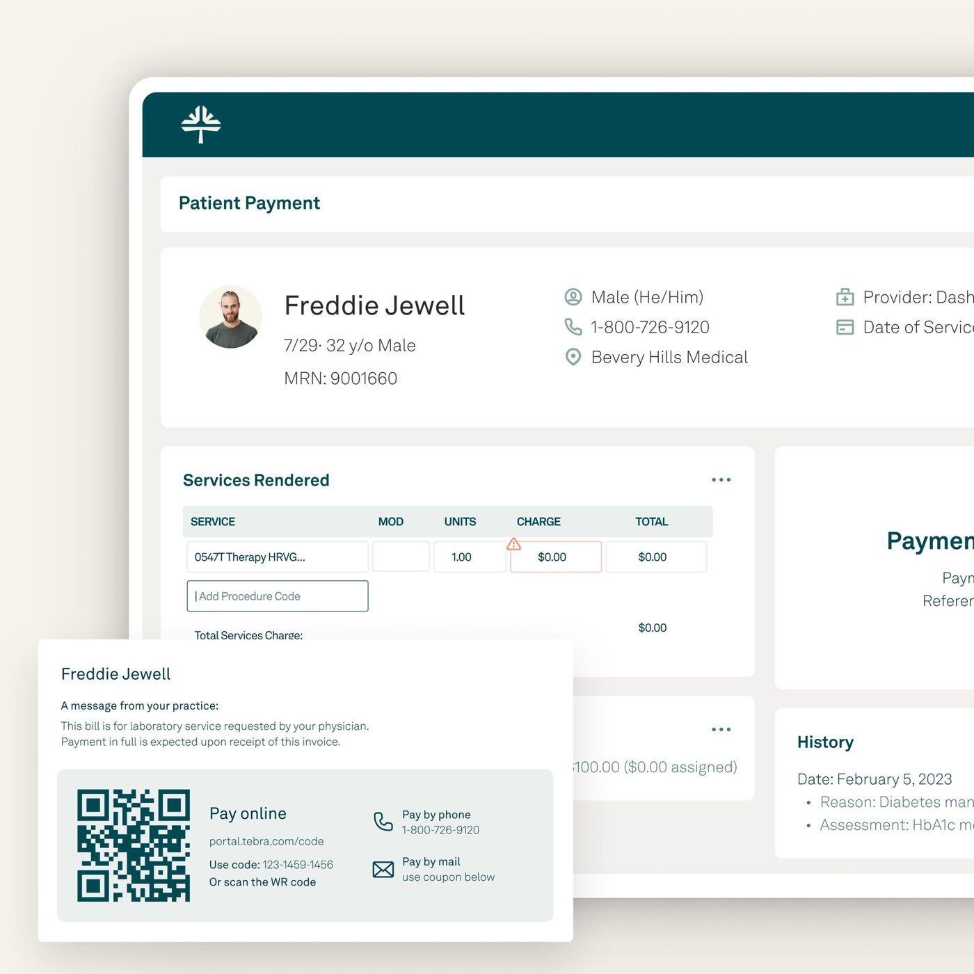 Tebra patient payment screen with services rendered and pay-online options